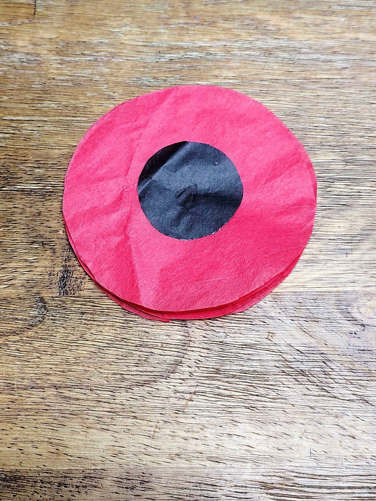 Veterans Day Poppy Craft- Step 6 - Black circles glued on red circles - Kids Activities Blog