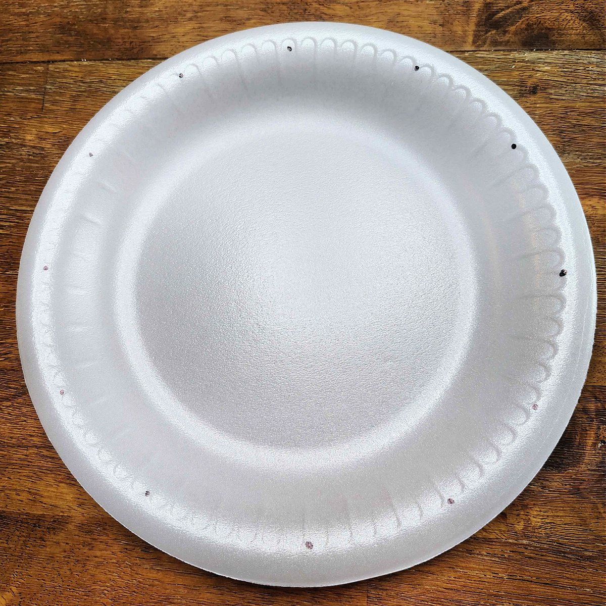 Bible Craft- Step 2- Dots around the edge of a paper plate- Kids Activities Blog