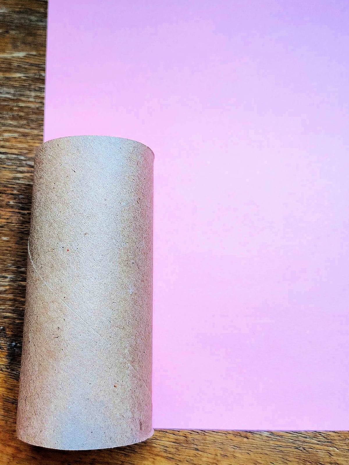 Butterfly Craft- Step 2 - Toilet paper roll against pink paper - Kids Activities Blog
