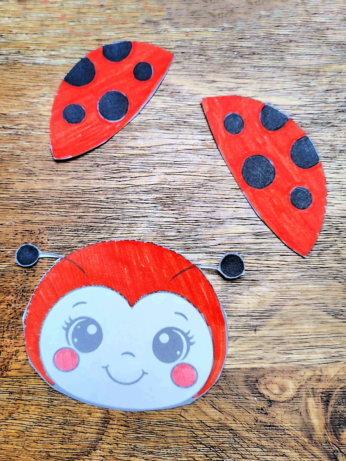 Ladybug Craft- Step 1 - Color and cut out ladybug head and wings- Kids Activities Blog