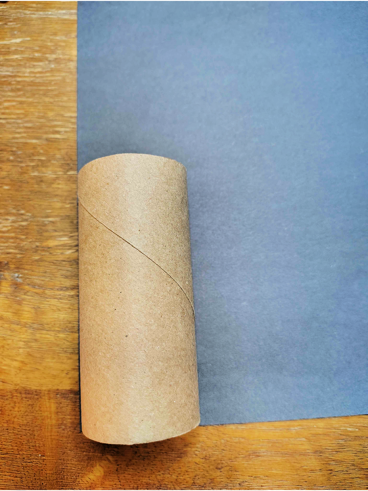 Ladybug Craft- Step 2- Toilet paper roll against black paper - Kids Activities Blog