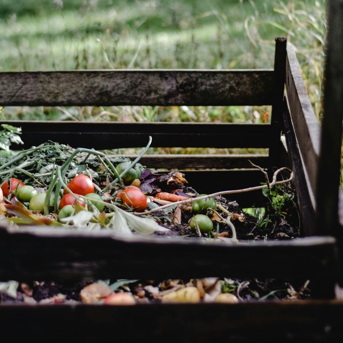 Earth Day Activities- Compost bin with fruits, veggies, and trimmings - kids activities blog