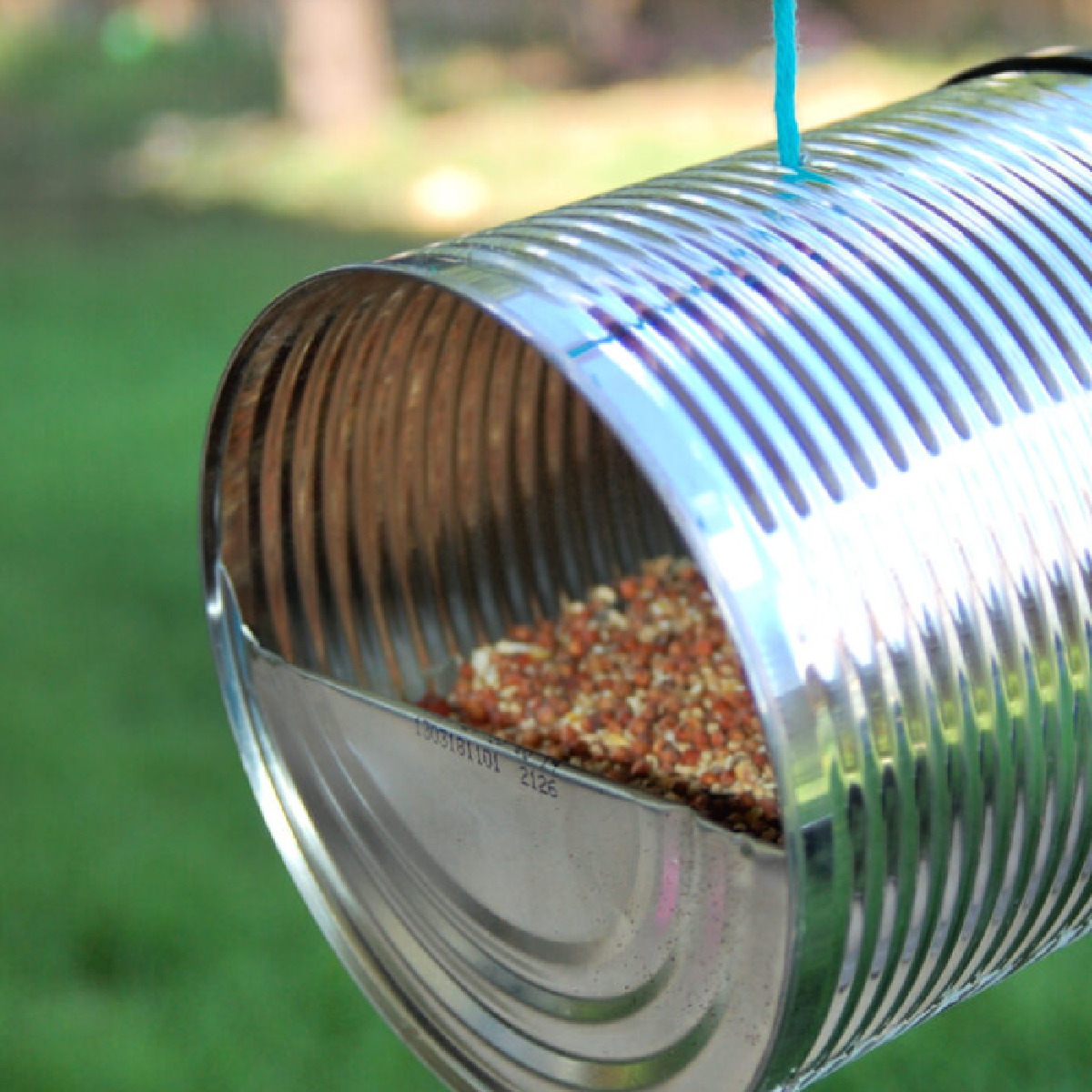 Earth Day Activities- can bird house with bird seed- kids activities blog