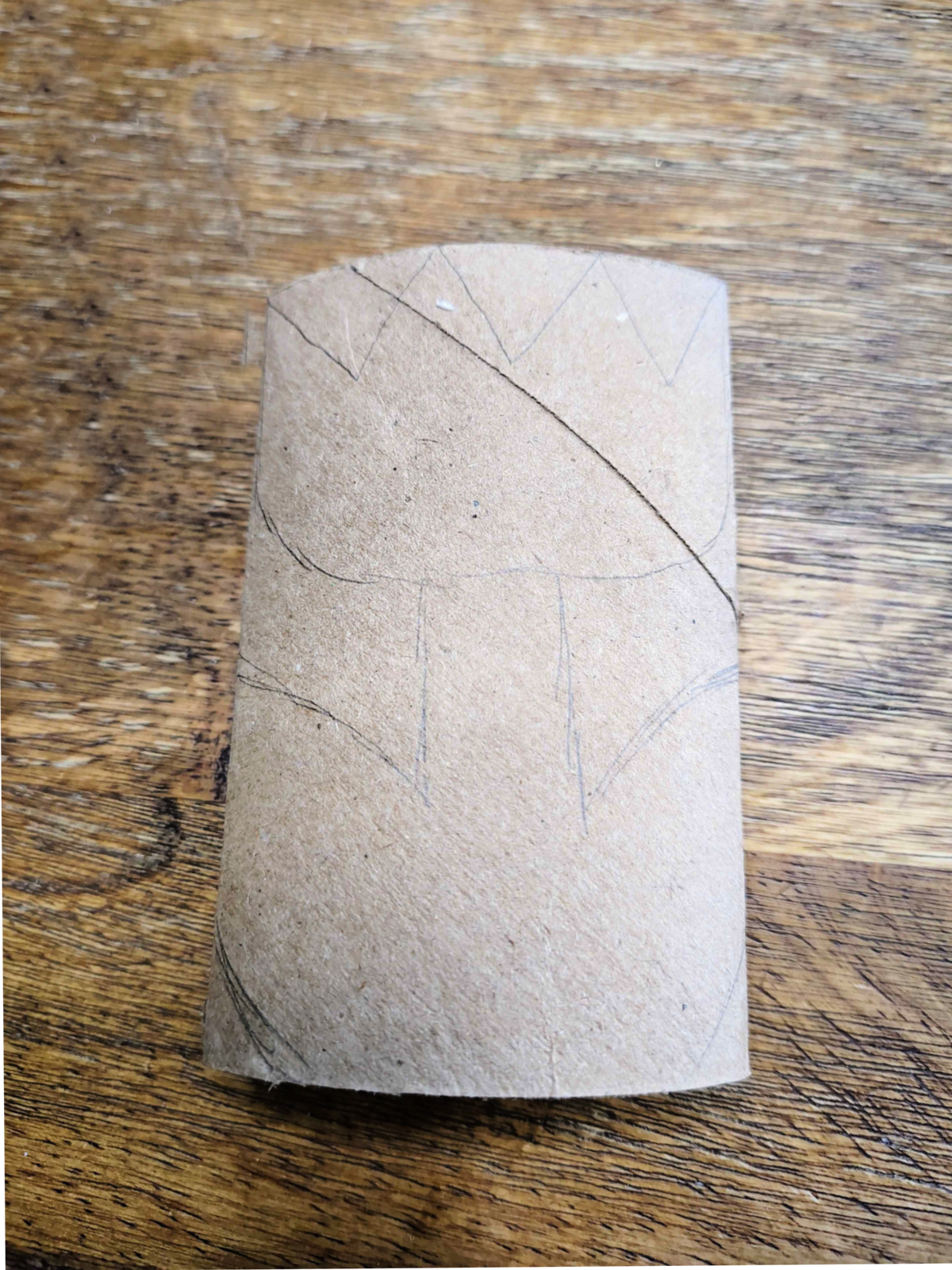 Toilet Paper Roll Spring Craft- Step 2- Draw flower on toilet paper roll - Kids Activities Blog