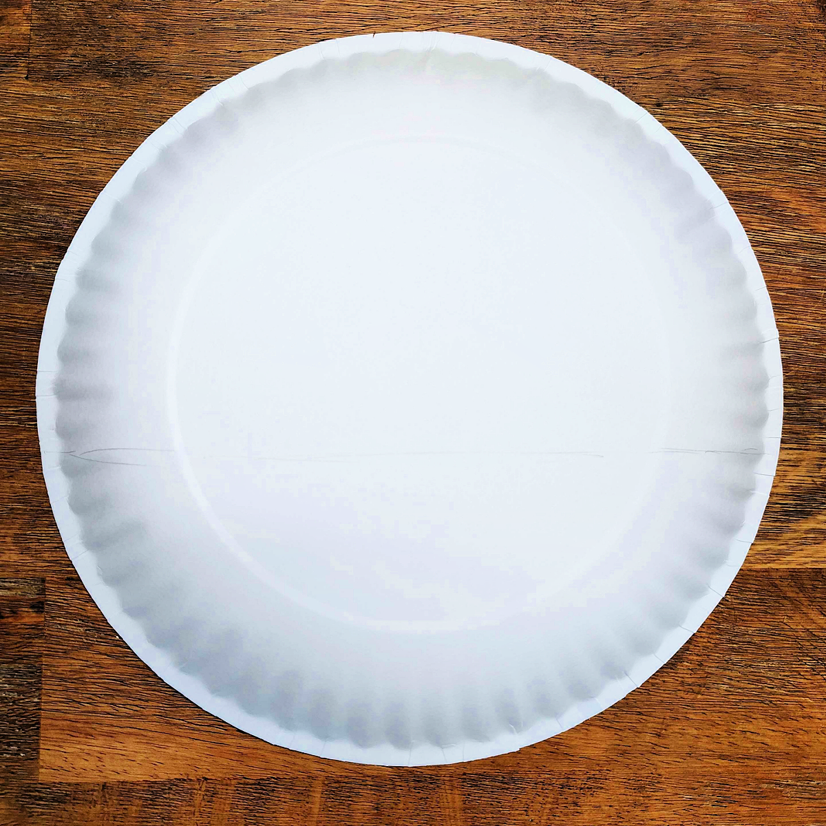 Paper Plate Boat Craft- Step 1- Paper plate with line on it -Kids Activities Blog