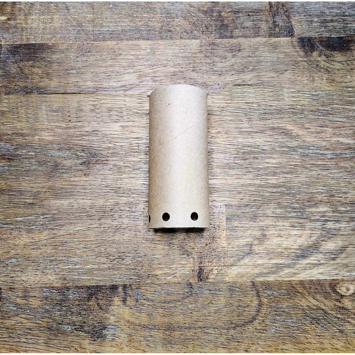 Toilet Paper Roll Octopus Roll- Step 1- punch hole into toilet paper roll-Kids Activities Blog