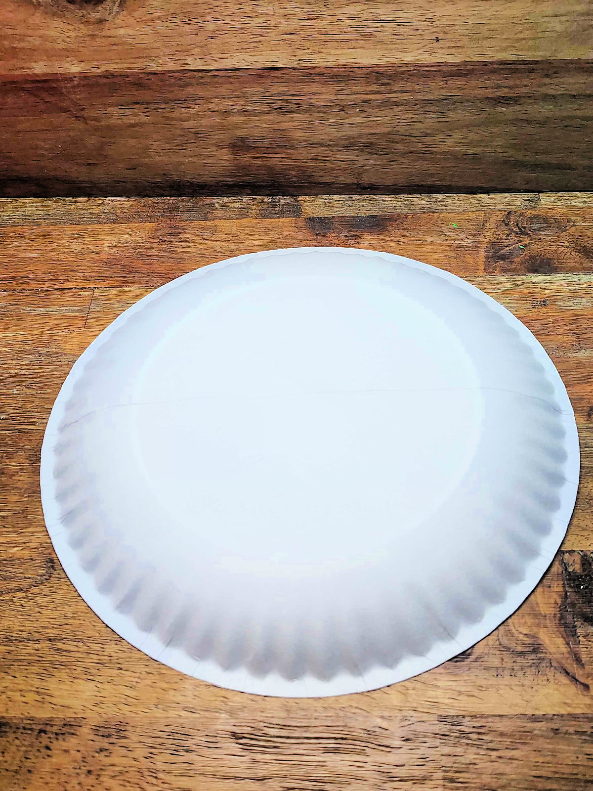 Paper Plate Fan- Step 1 - Draw a line on paper plate -Kids Activities Blog