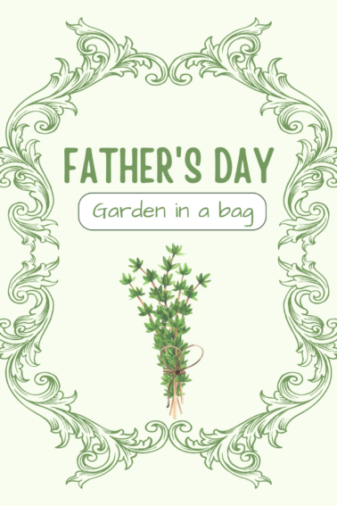 Father's Day Garden In A Bag Craft- - Kids Activities Blog