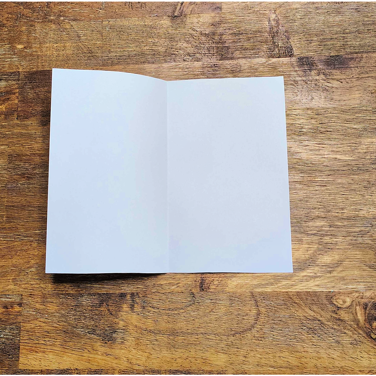 Homemade Father's Day Card- Step 2- Card folded. - Kids Activities Blog