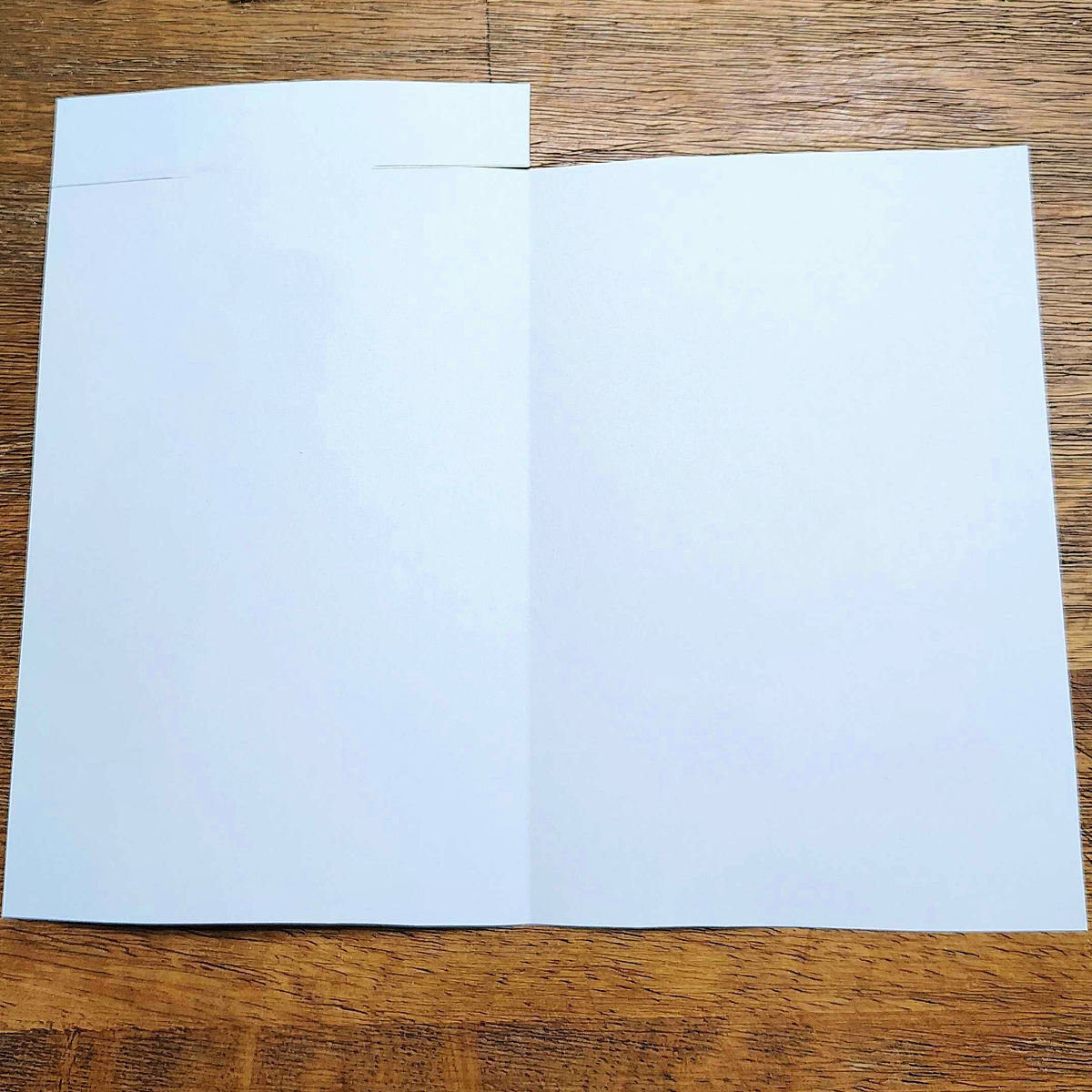 Homemade Father's Day Card- Step - Right side cut off and left side cut into tabs - Kids Activities Blog
