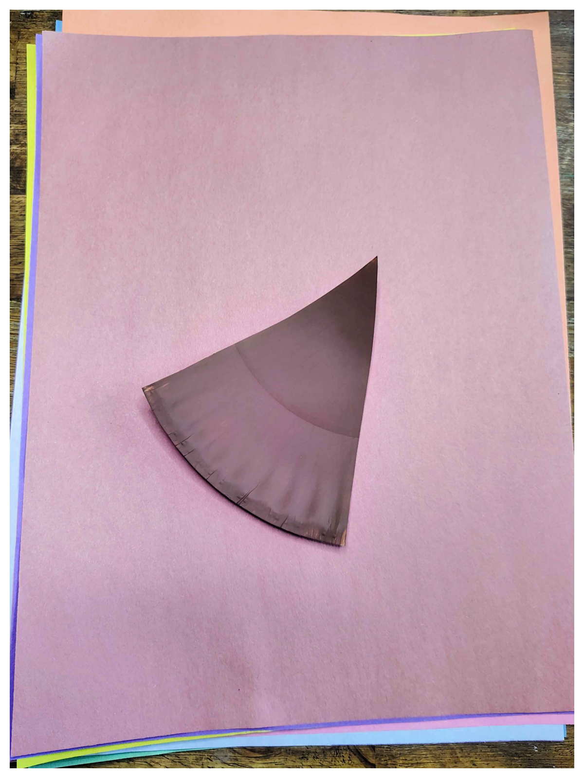 Leaf Craft- Step 2- piece of paper plate painted brown- Kids Activities Blog