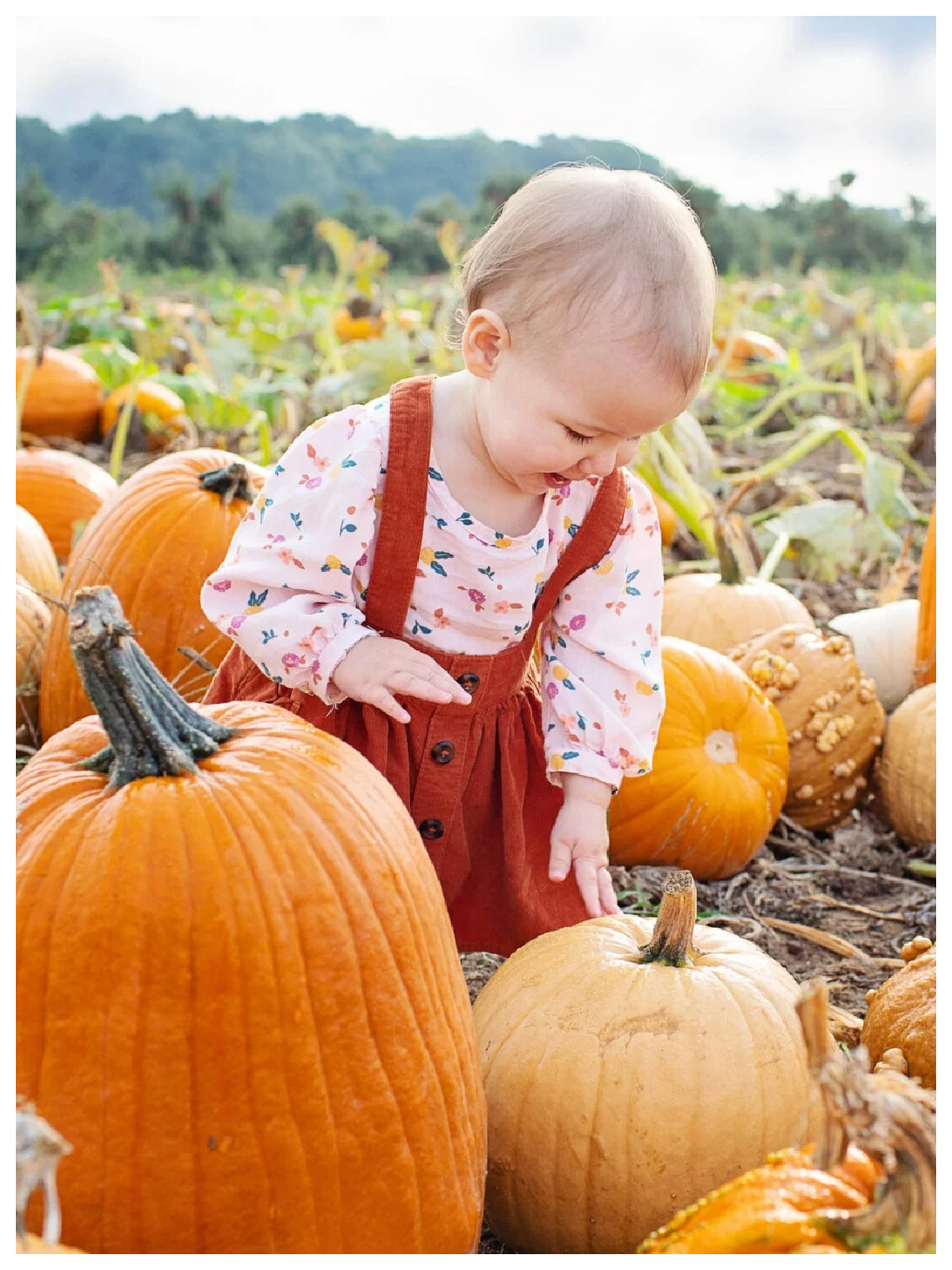 Fun Activities- baby in a pumpkin patch- Kids Activities Blog