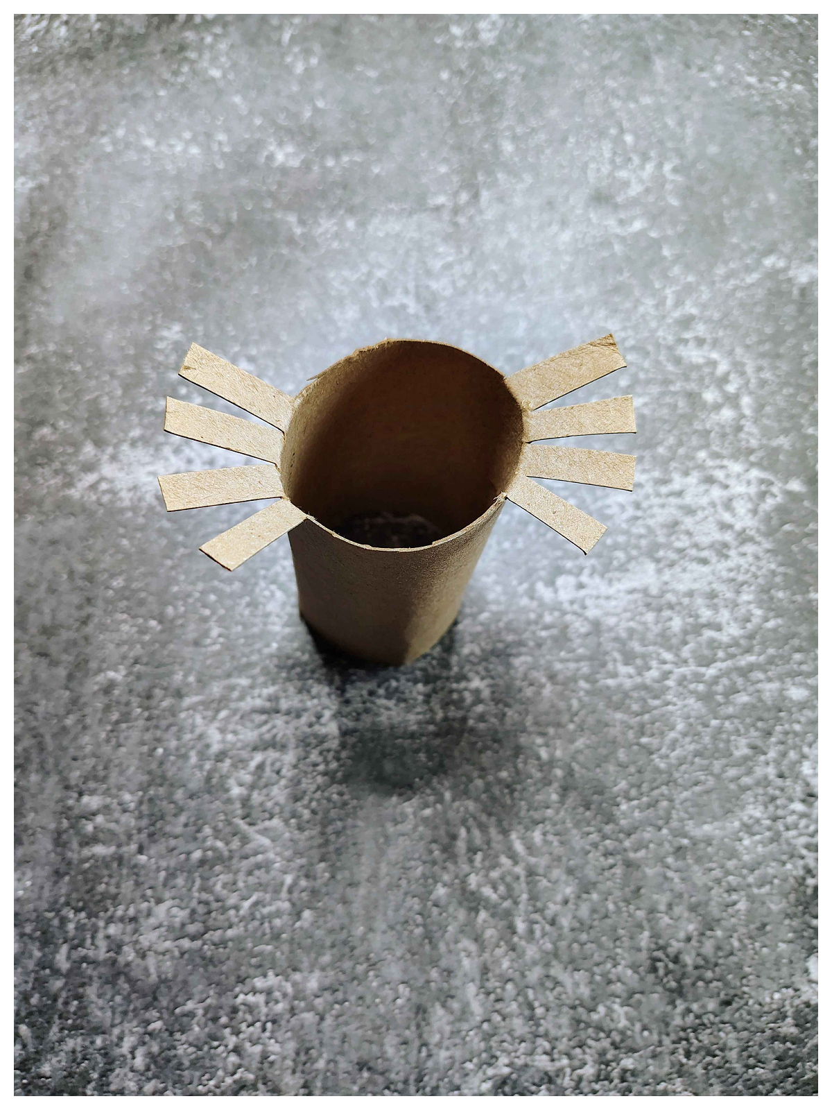 Spider Web Craft- Step 1- Toilet paper rolls with 8 legs cut into it-Kids Activities Blog